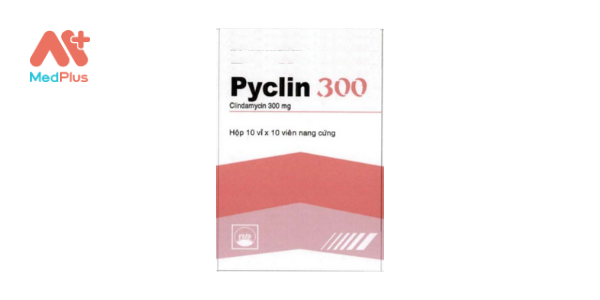 Pyclin 300