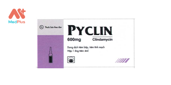 Pyclin 600