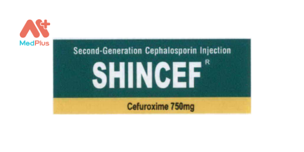 Thuốc Shincef