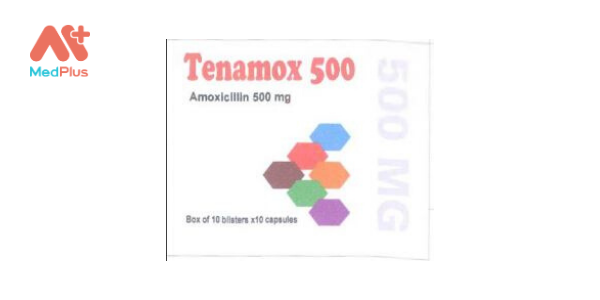 Thuốc Tenamox 500
