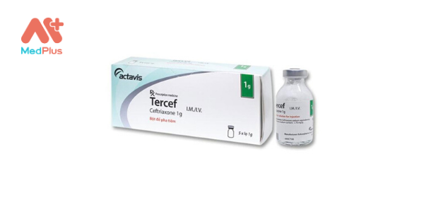 Thuốc Tercef 1g: Liều dùng & lưu ý, hướng dẫn sử dụng, tác dụng phụ 128 Thuốc Tercef 1g