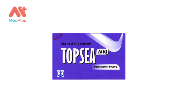 Topsea 500