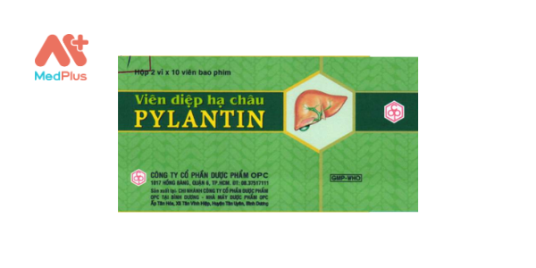 Viên Diệp Hạ Châu PYLANTIN