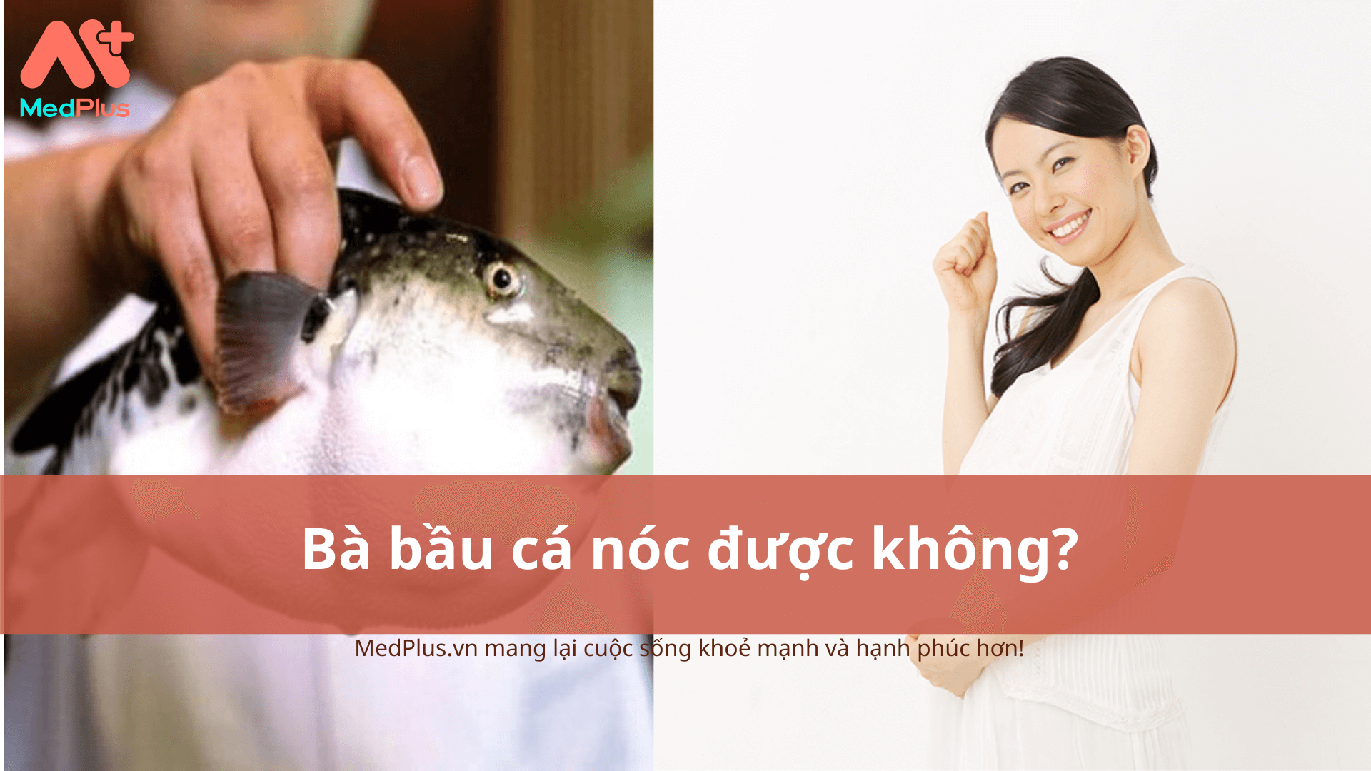 Bà bầu ăn cá nóc được không