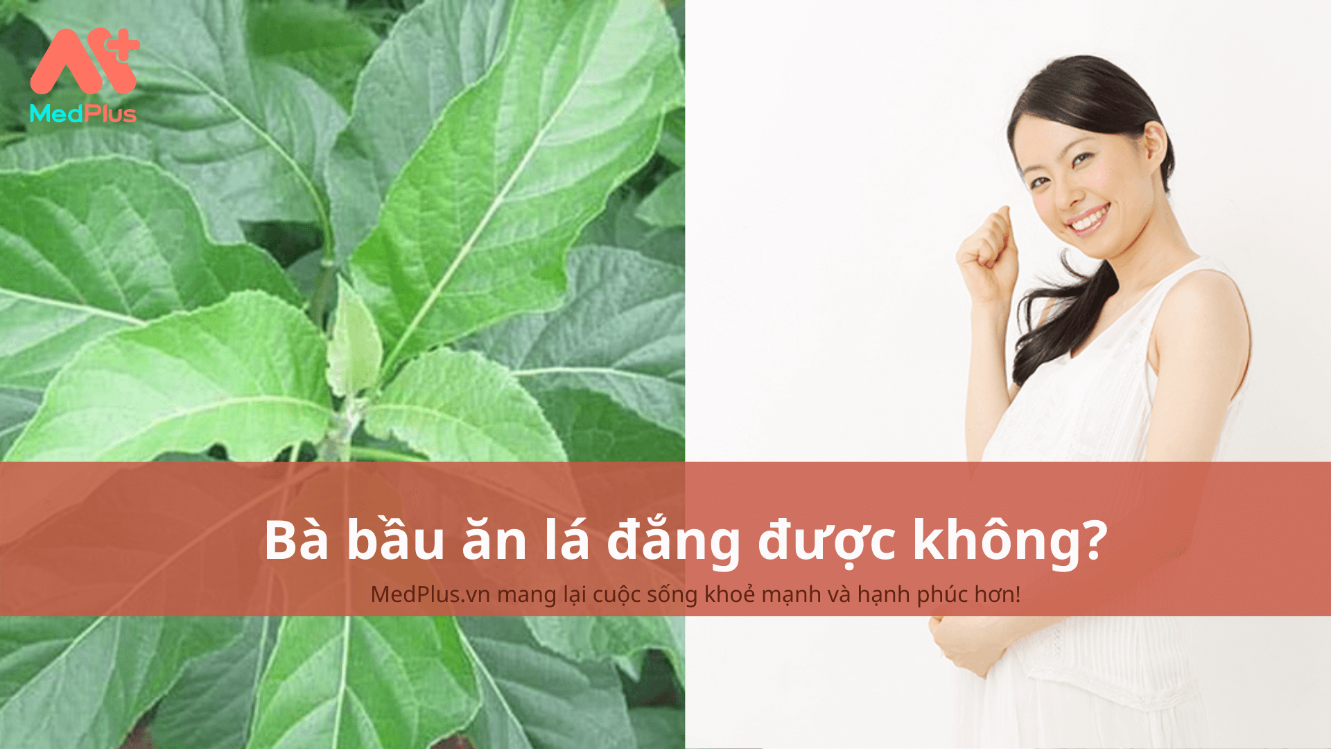 bà bầu ăn lá đắng được không