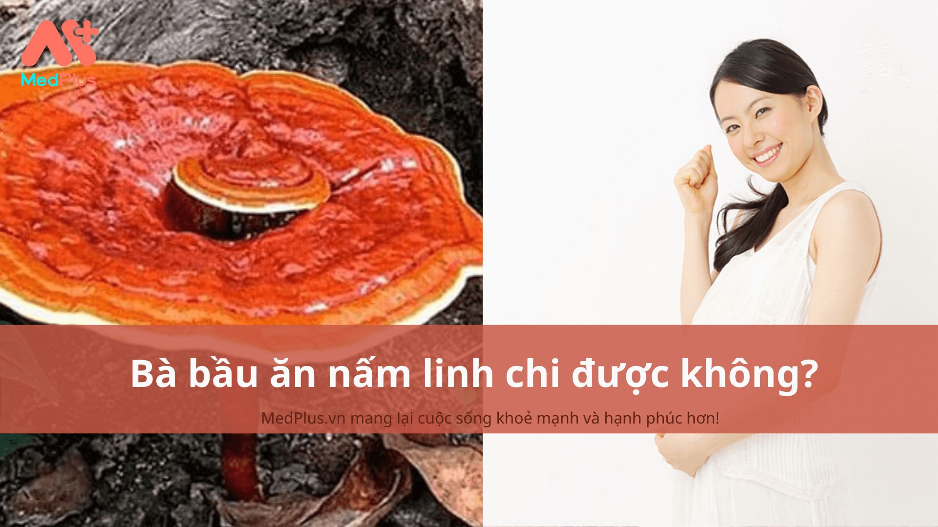 bà bầu ăn nấm linh chi được không