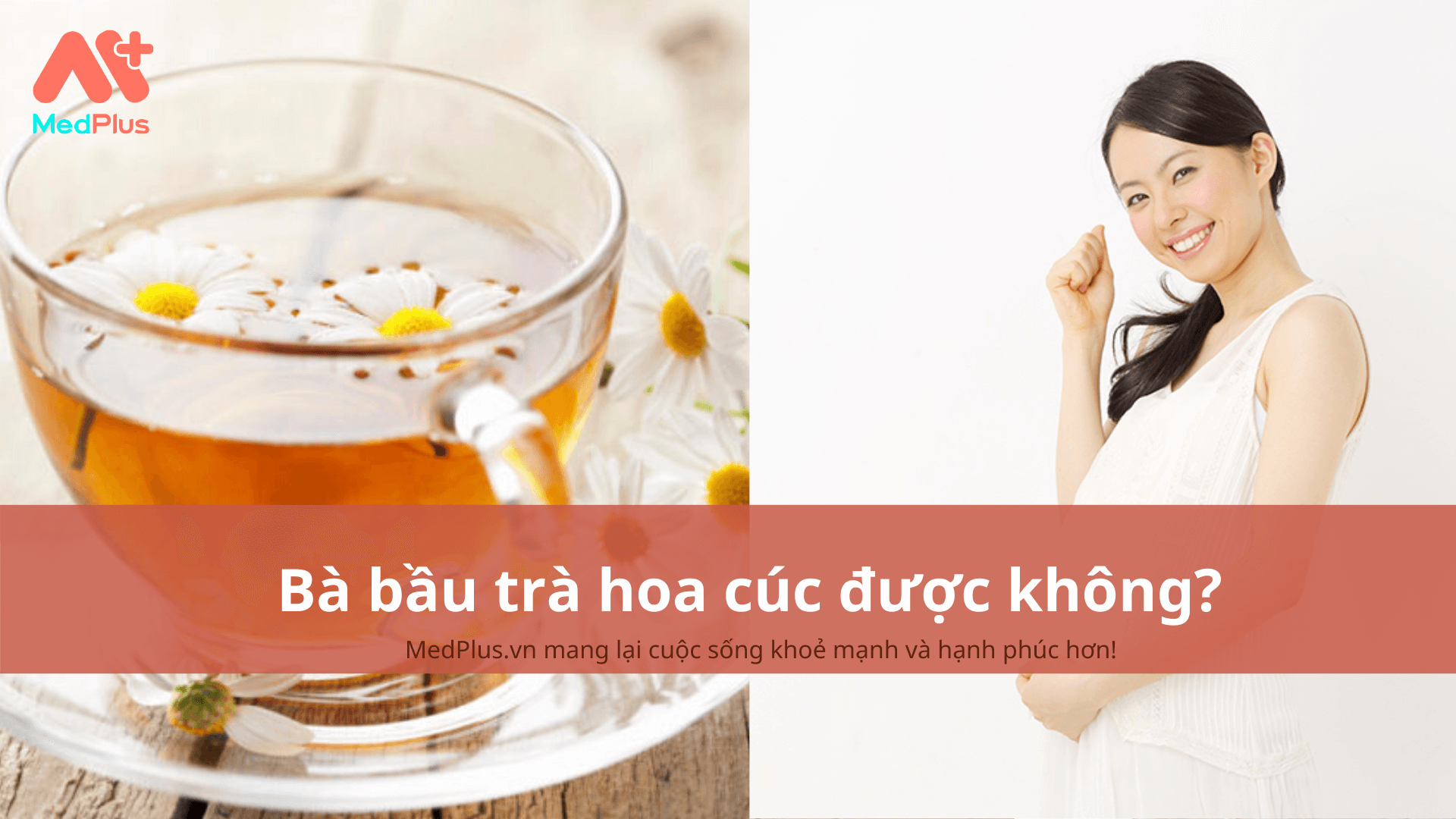 bà bầu uống trà hoa cúc được không