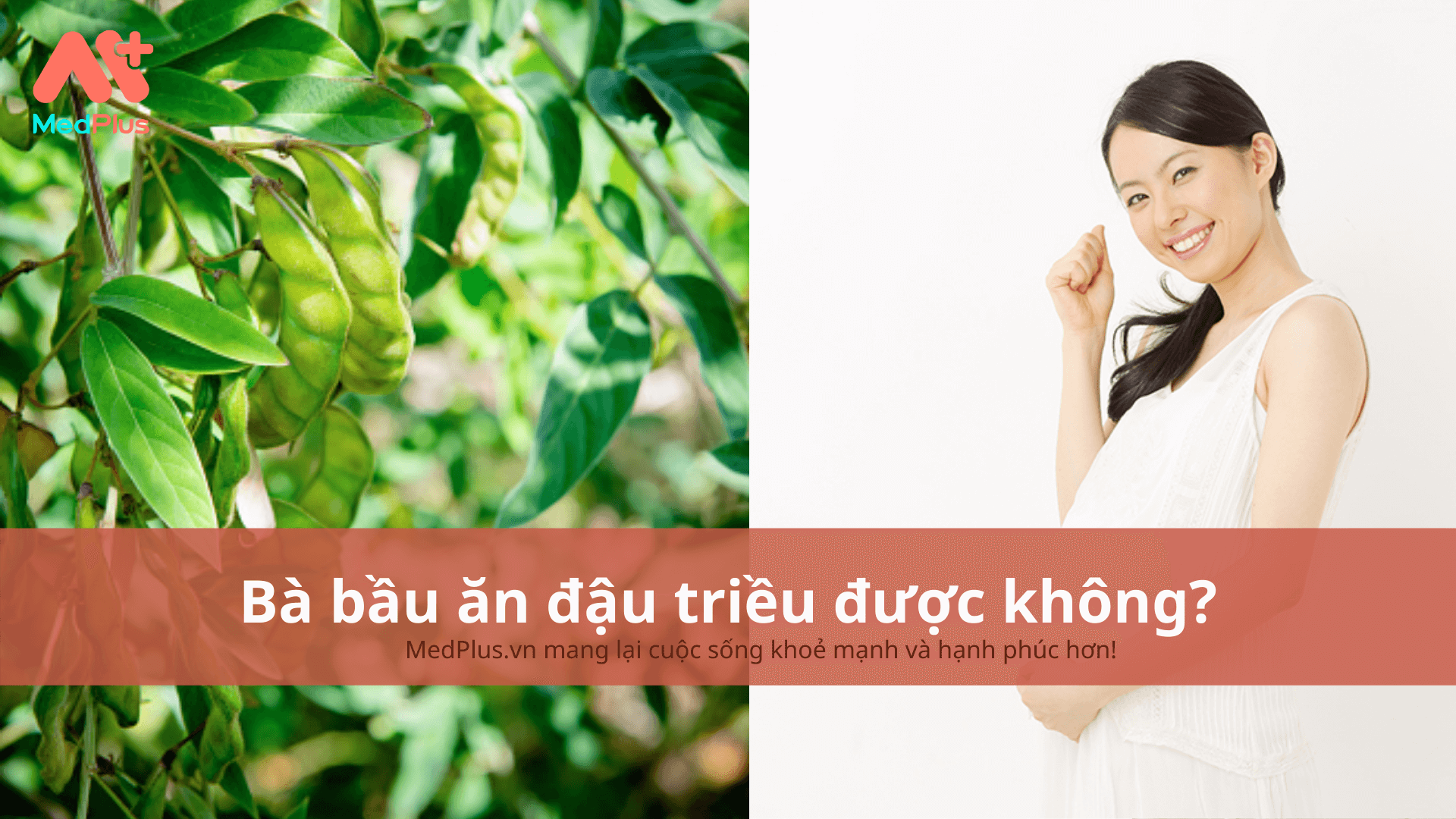 Bà bầu ăn đậu triều được không?