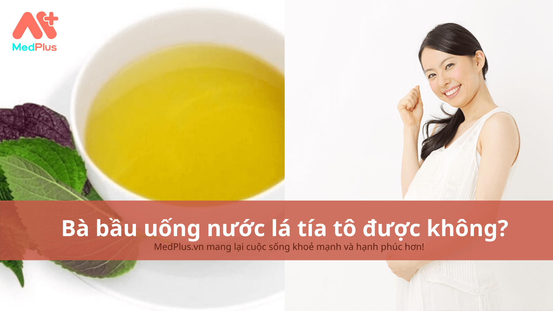 bà bầu uống nước lá tía tô được không