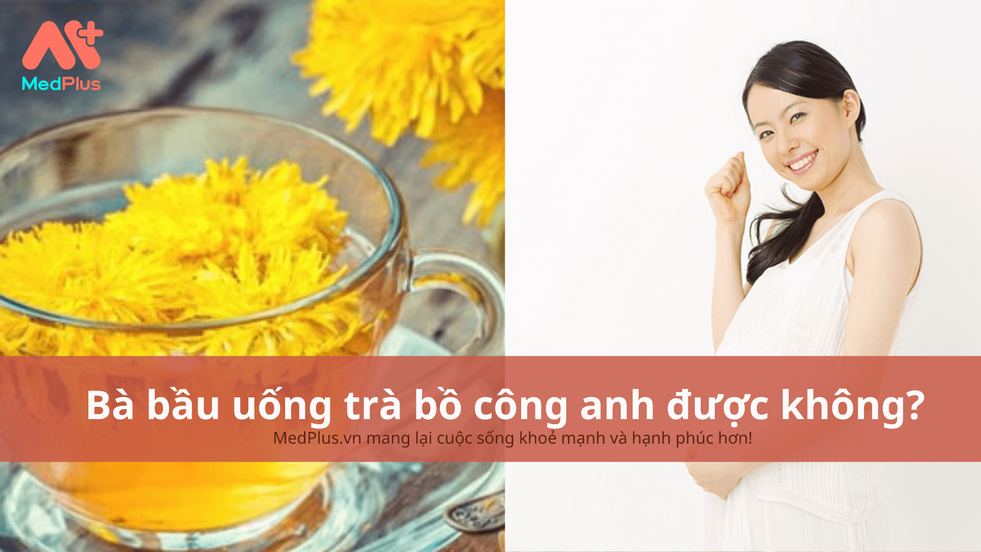 bà bầu uống trà bồ công anh được không