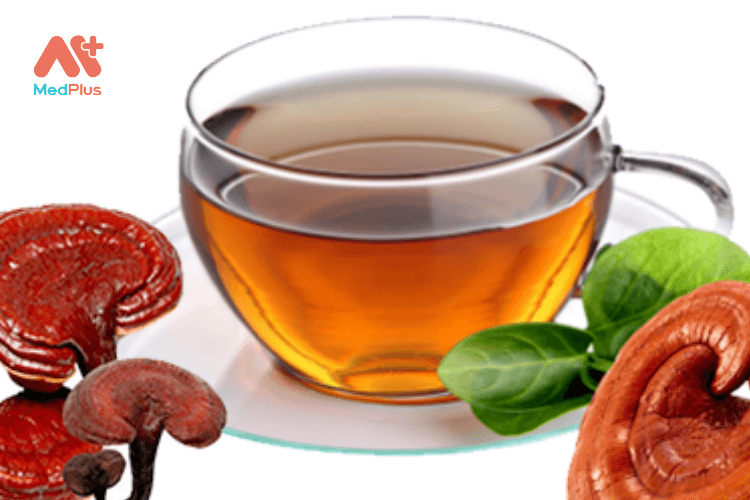 cách nấu nước nấm linh chi bồi bổ cơ thể