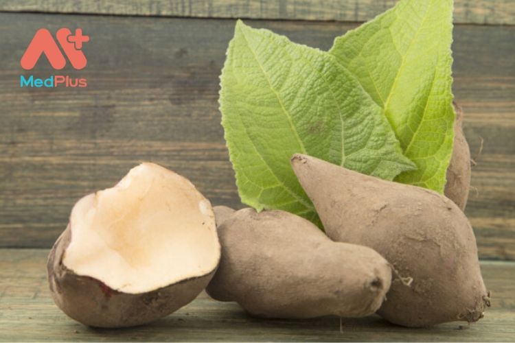 5 lợi ích sức khỏe đáng kinh ngạc của Yacon mà bạn cần biết