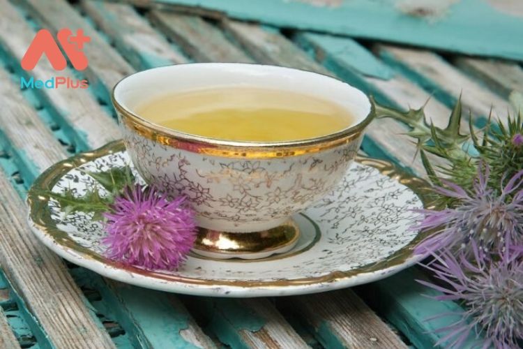 8 lợi ích đáng kinh ngạc của trà cây kế sữa