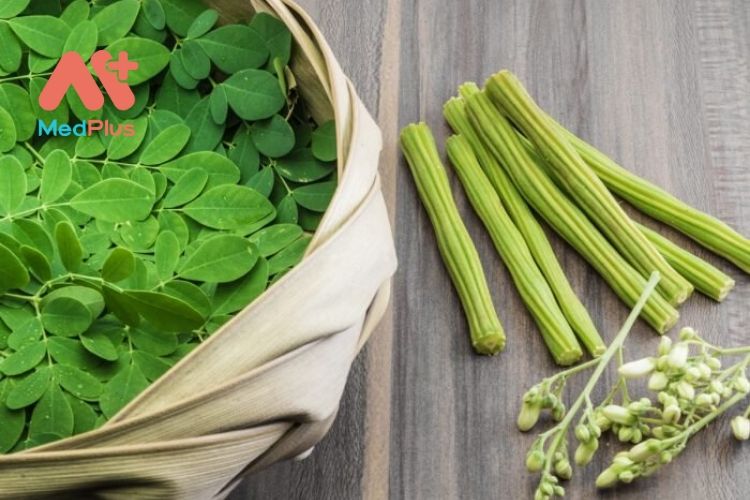 Cây Moringa và những tác dụng tuyệt vời đối với sức khỏe
