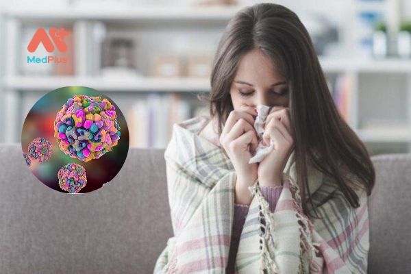 Cảm lạnh và virus Enterovirus gây cảm lạnh
