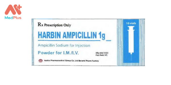 Harbin Ampicillin