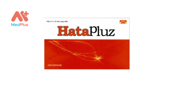 HataPluz