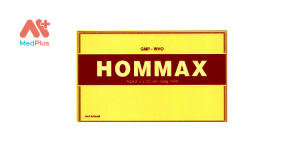 Hommax