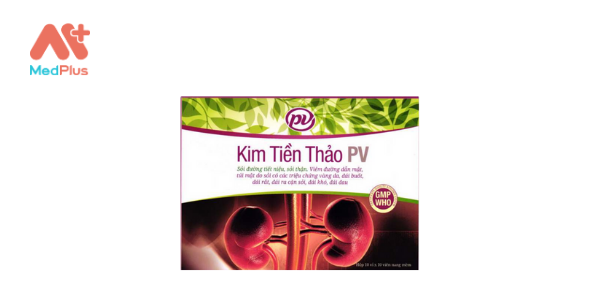 Kim tiền thảo PV