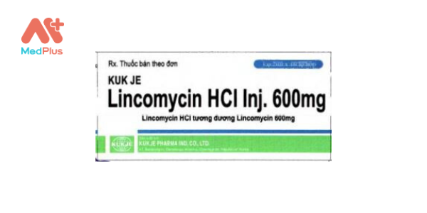Kukje Lincomycin HCl Inj. 600mg