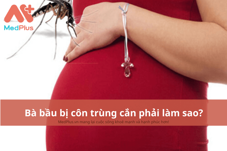 Bà bầu bị côn trùng cắn phải làm sao