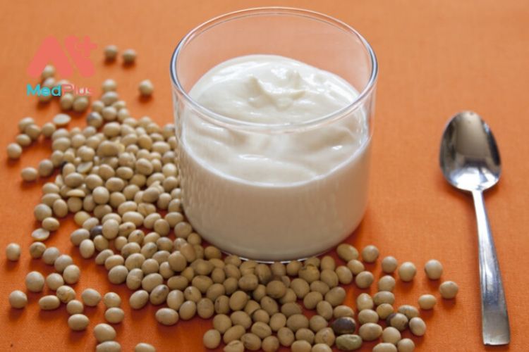 Công nghệ 10 Bài 47: Thực hành làm sữa chua hoặc sữa đậu nành bằng phương pháp đơn giản