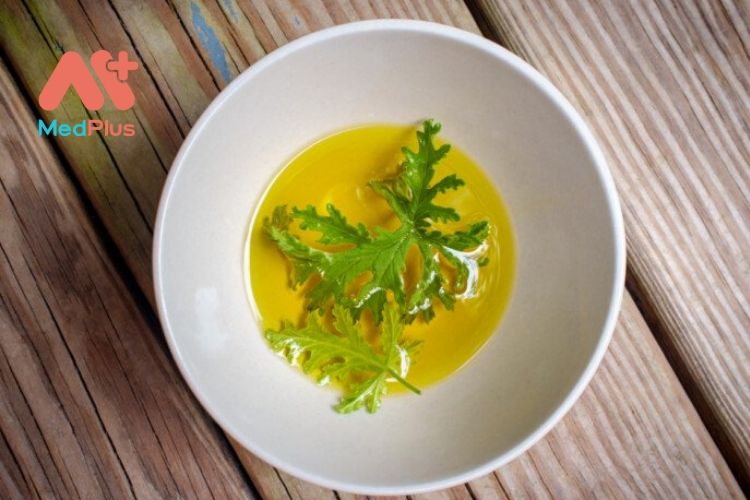 15 tác dụng đáng kinh ngạc của tinh dầu Citronella mà bạn cần biết