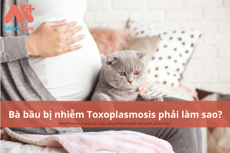 Bà bầu bị nhiễm trùng Toxoplasmosis phải làm sao?