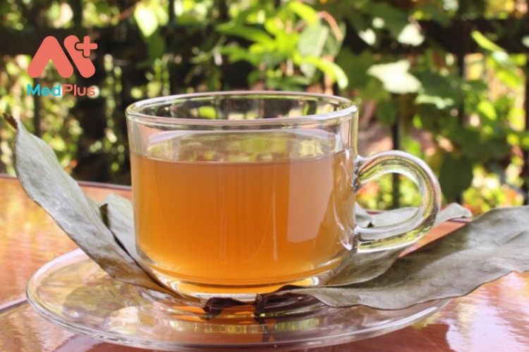 6 tác dụng hàng đầu của trà Cistus đối với sức khỏe