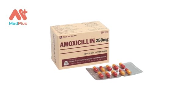 Amoxicillin 250mg của Mekophar