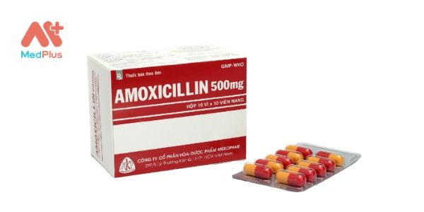 Amoxicillin 500mg của Mekophar