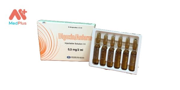 Dung dịch thuốc tiêm Digoxin/Anfarm