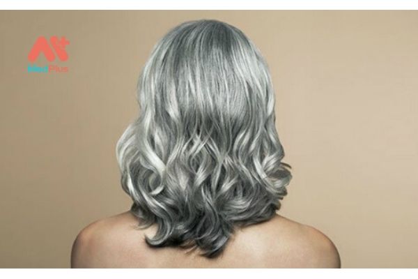 Cách trị tóc bạc và rụng tóc ở tuổi trung niên  Nhà Thuốc Đông Nam Dược  Minh Nhi