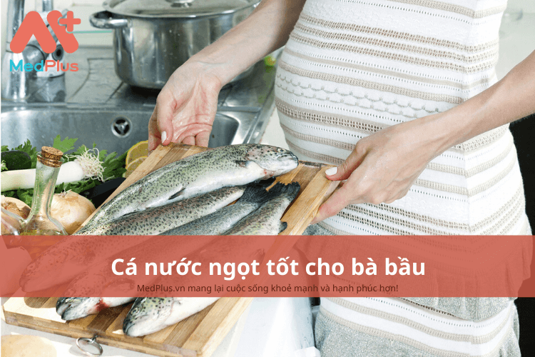 TOP 3+ cá nước ngọt tốt cho bà bầu