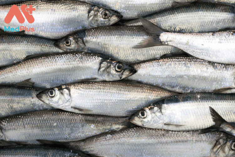 Cá trích là một trong những nhóm cá chứa ít thủy ngân nhất, cá trích được xếp vào hàng TOP thực phẩm bà bầu nên dùng.