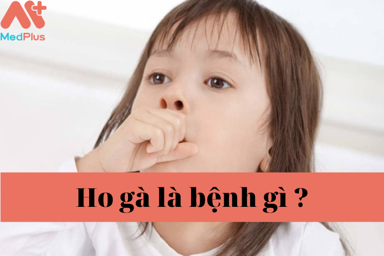 Ho gà là bệnh gì ? Làm cách nào để phòng ngừa ho gà