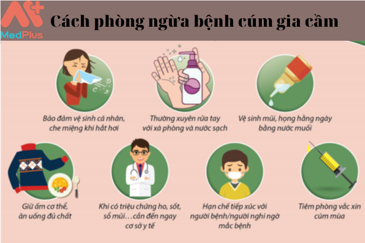 Phong ngua benh cum H5N1 - Medplus