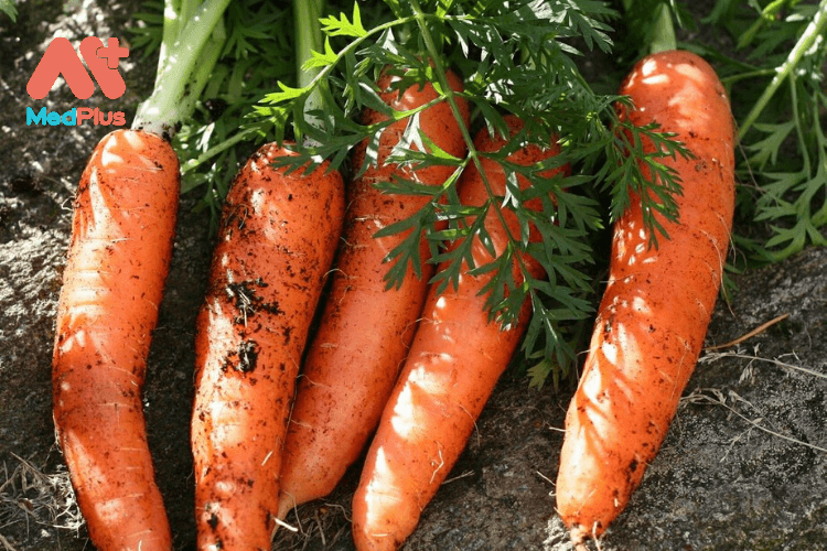 Gợi ý các món side dish từ cà rốt cho bữa tiệc thêm sắc màu 131 Cà rốt