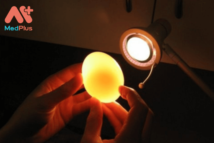 Cách chon trứng đúng chuẩn