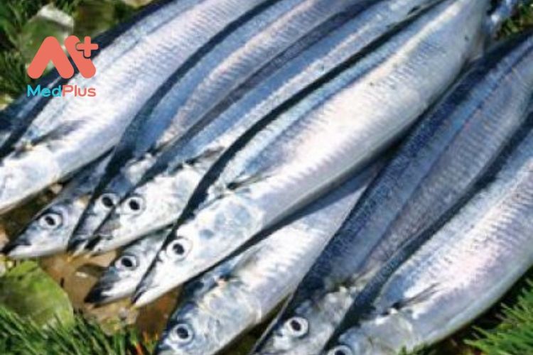 Mê mẩn với các món ăn từ cá thu đao nhật đặc biệt hấp dẫn 129 Mê mẩn với các món ăn từ cá thu đao nhật đặc biệt hấp dẫn