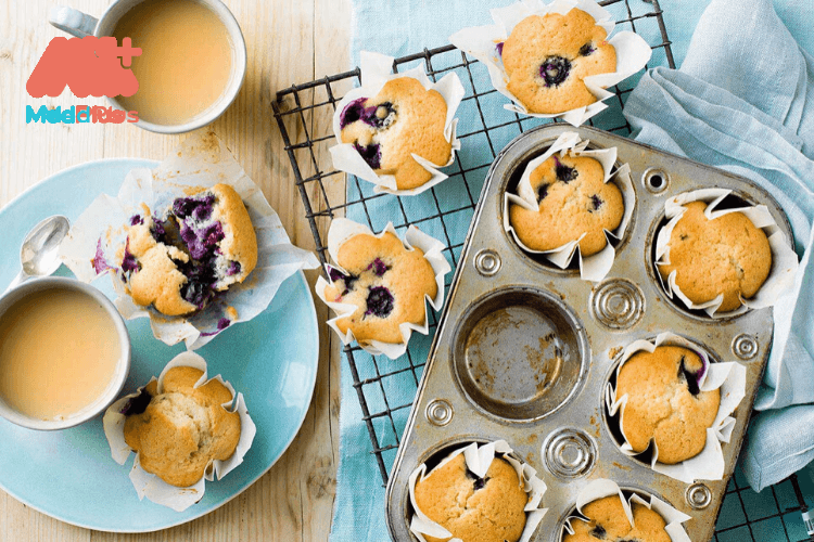 Muffin việt quất