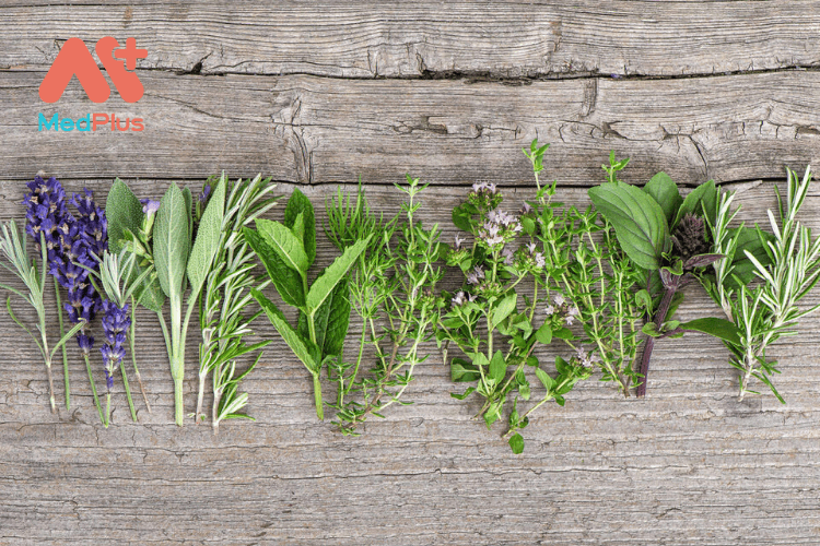 Hãy làm sạch lá lách của bạn để khoan khoái tận hưởng cuộc sống