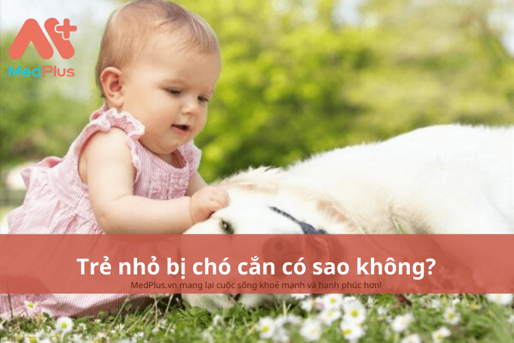 Trẻ nhỏ bị chó cắn có sao không?