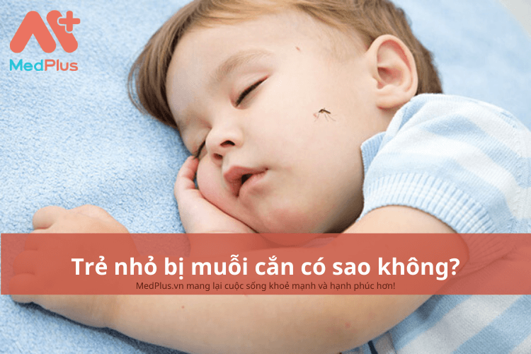 Trẻ nhỏ bị muỗi cắn có sao không?