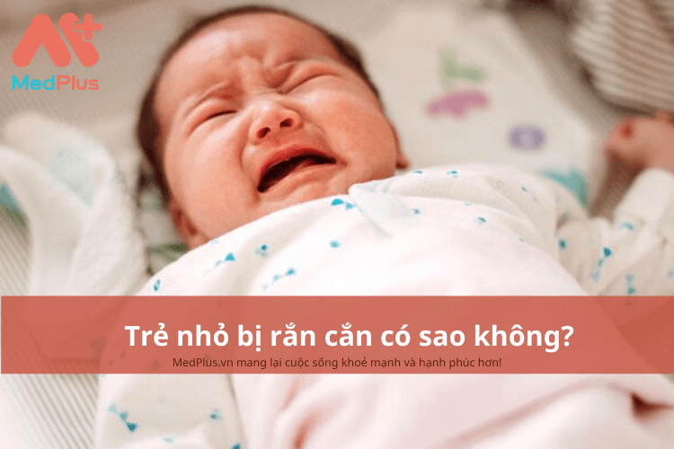 Trẻ nhỏ bị rắn cắn có sao không?