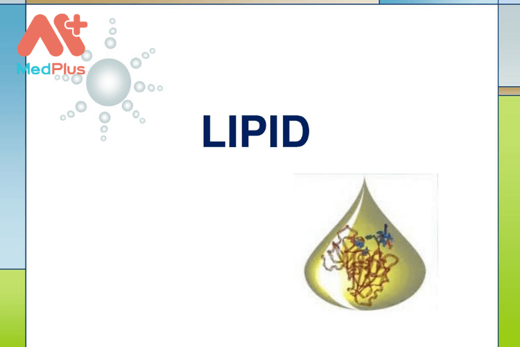Vai trò của lipid với trẻ