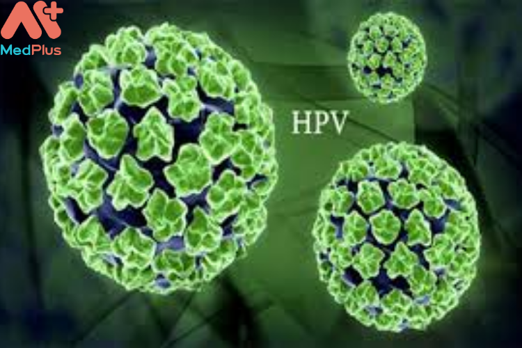 Virus gây nên hạt cơm- Human Papillomavirus
