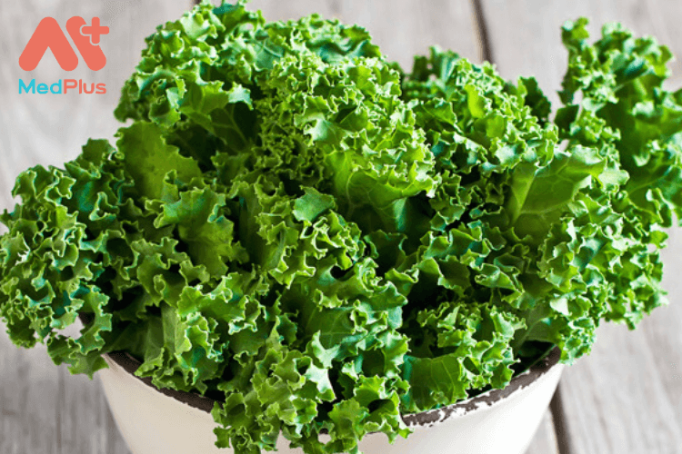 Cải xoăn là một loại rau xanh có nhiều lợi ích cho sức khỏe như làm giảm cholesterol