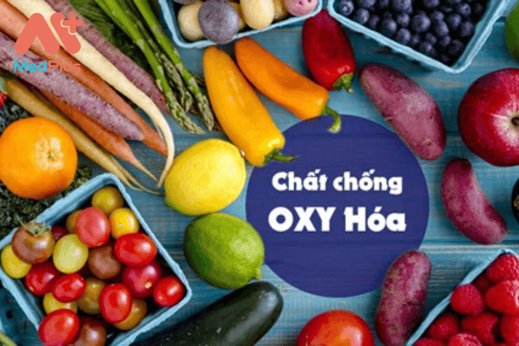 Chất chống oxy hóa thường có nhiều trong rau xanh, củ, trái cây và một số loại hạt.