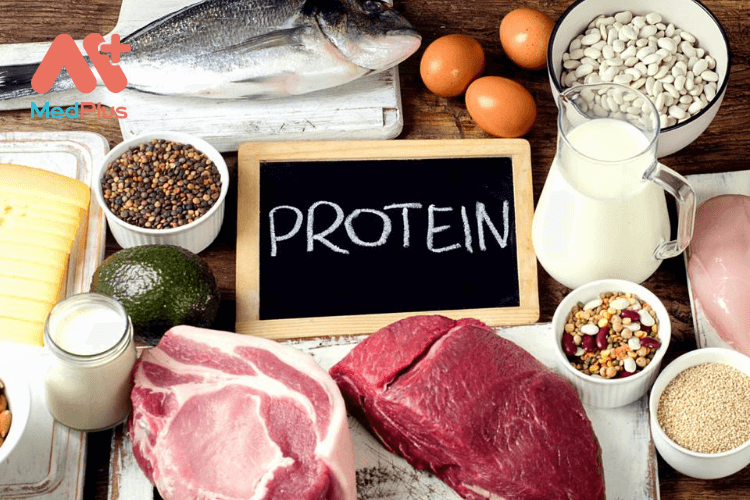 Nguồn thực phẩm chứa protein
